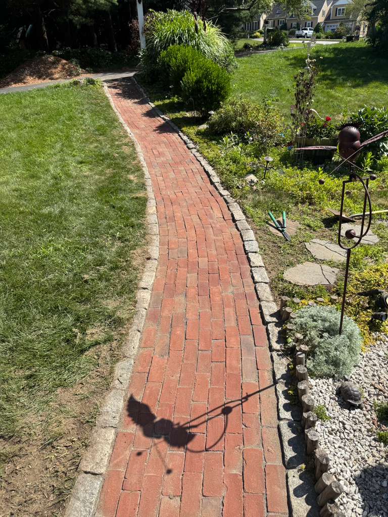 Deck & Fence Cleaning