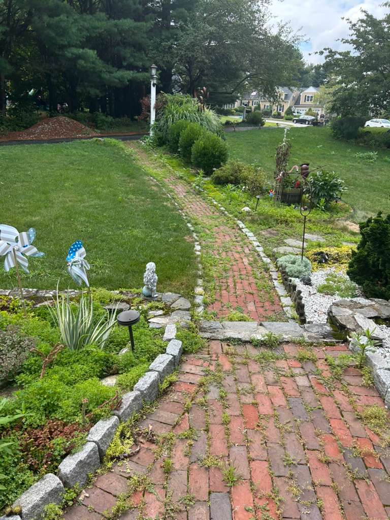 Deck & Fence Cleaning